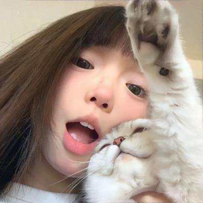 至上之法